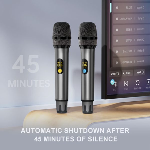 Two Handheld Wireless Microphone - Image 4
