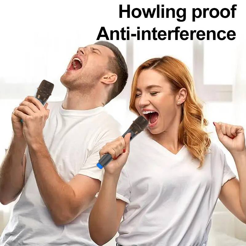 singing mic