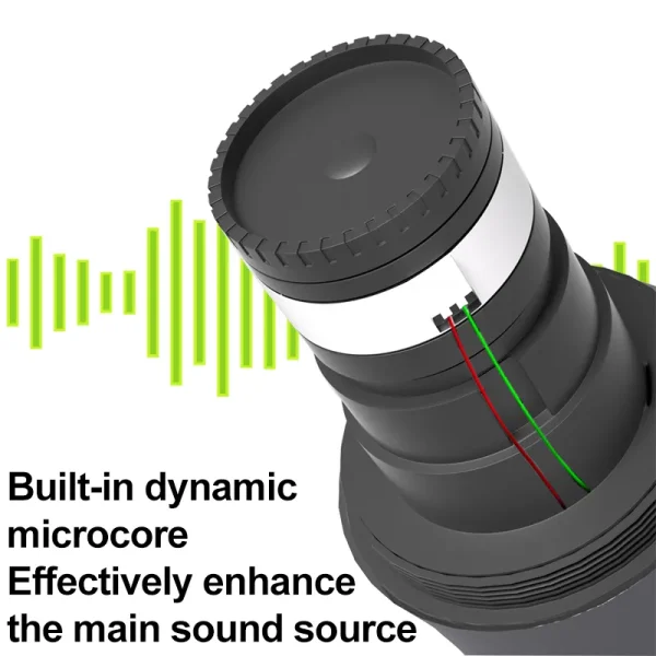 Two Wireless Mic - Image 3
