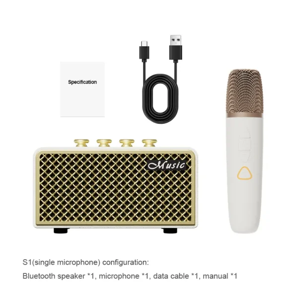 Wireless Speaker with One Microphone