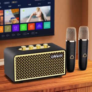 Wireless Bluetooth Speaker with Two Microphone