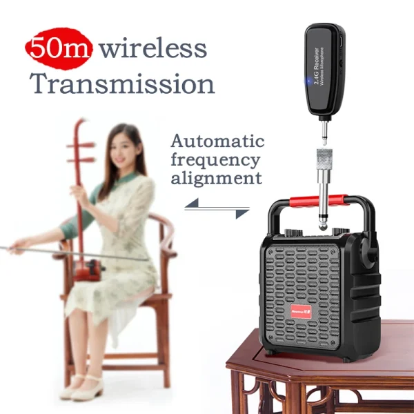 Professional Studio Wireless Music Microphone System - Image 4