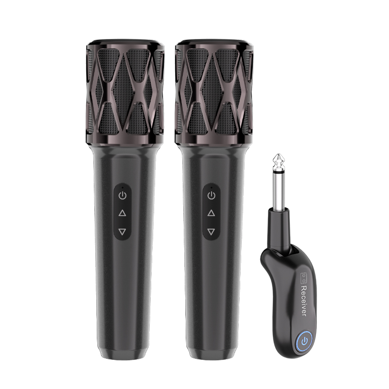 Dual Wireless Handheld Karaoke Teaching Microphone