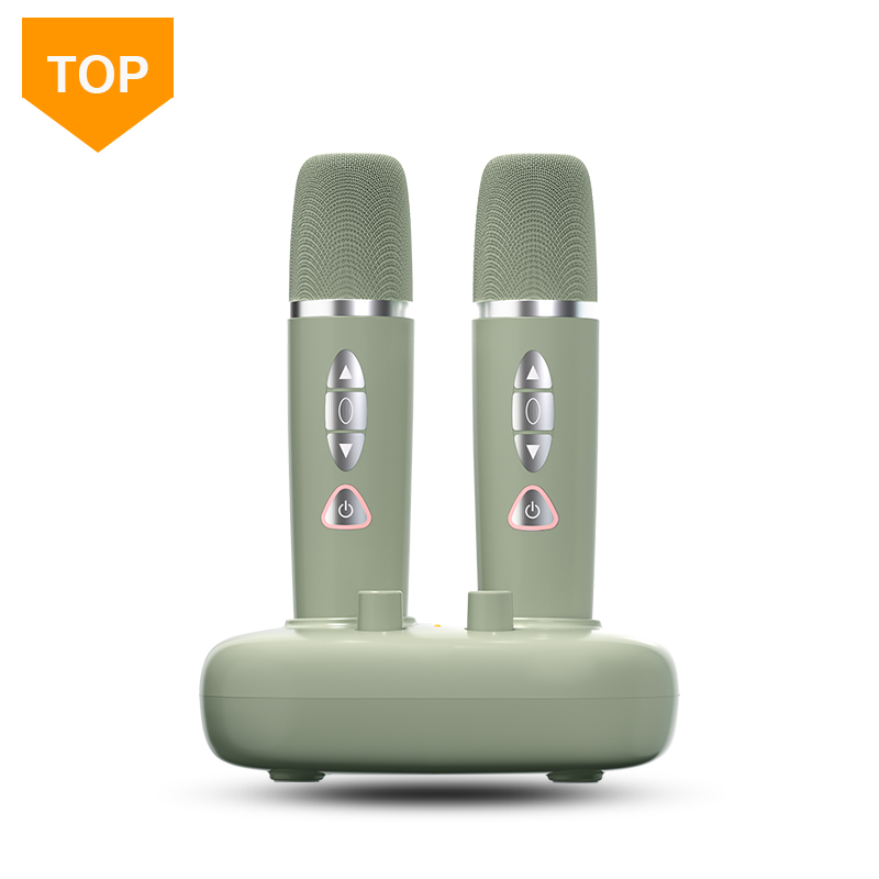 Variable Voice Family Children's Singing Portable Wireless Children's Karaoke Microphone Home Singing Practice Machine