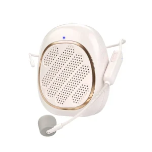 Voice Amplifier PA Speaker System with Wireless Headset Microphone