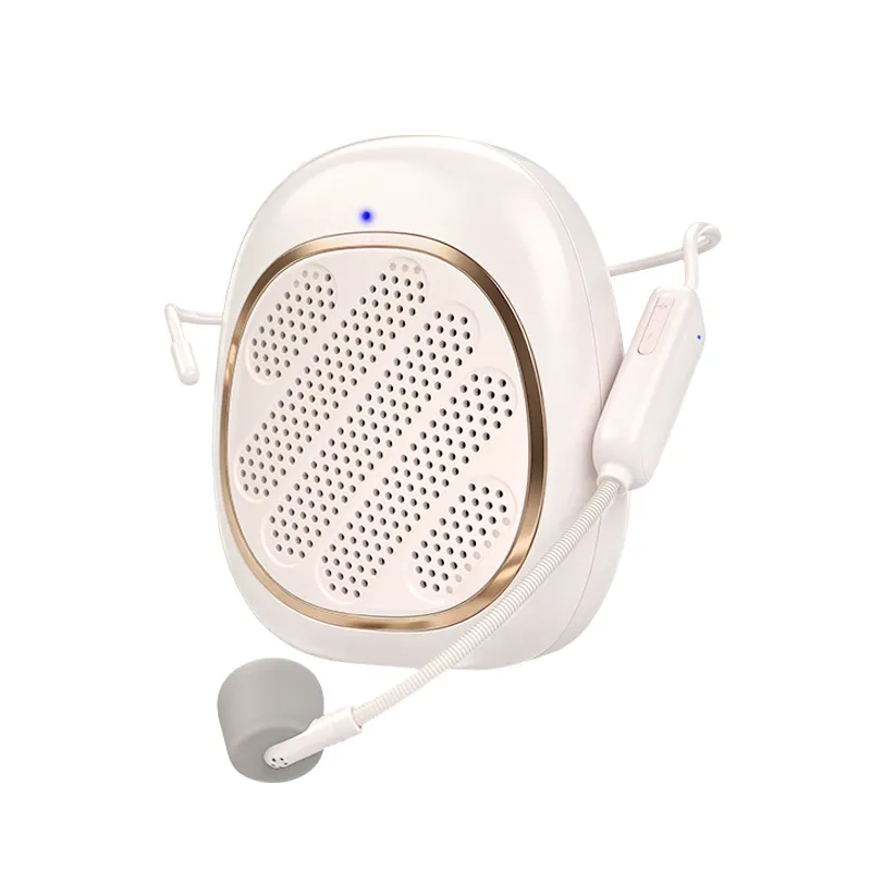 Voice Amplifier PA Speaker System with Wireless Headset Microphone