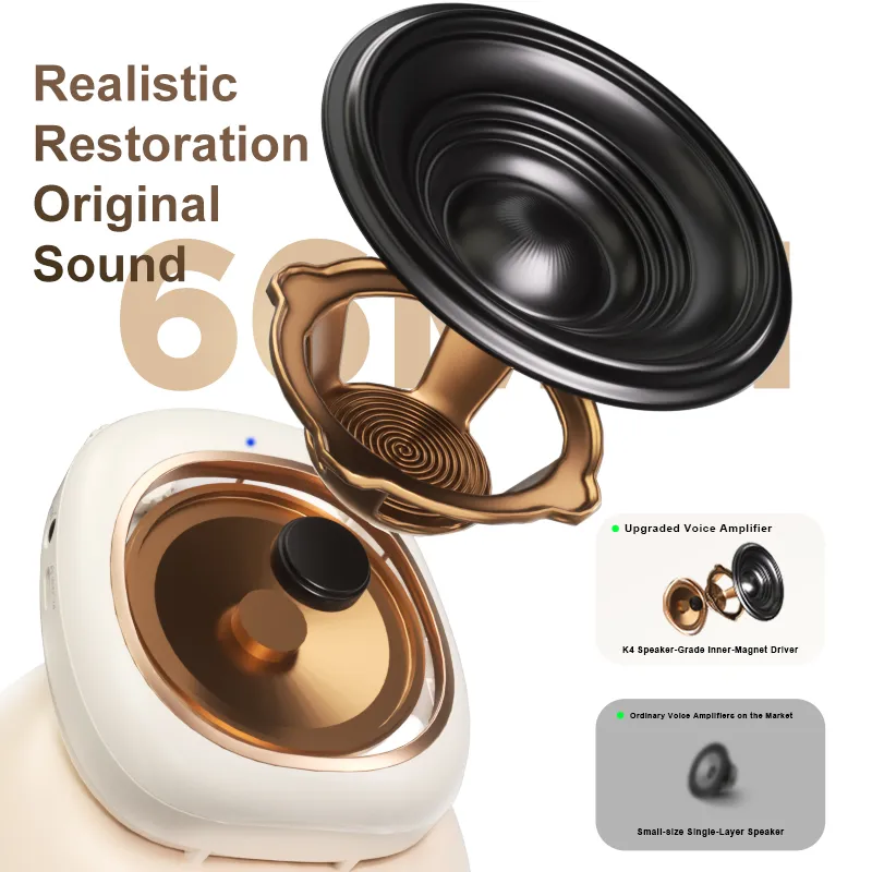 Wireless Voice Amplifier Speaker with 2.4G Headset Microphone - 图片 3